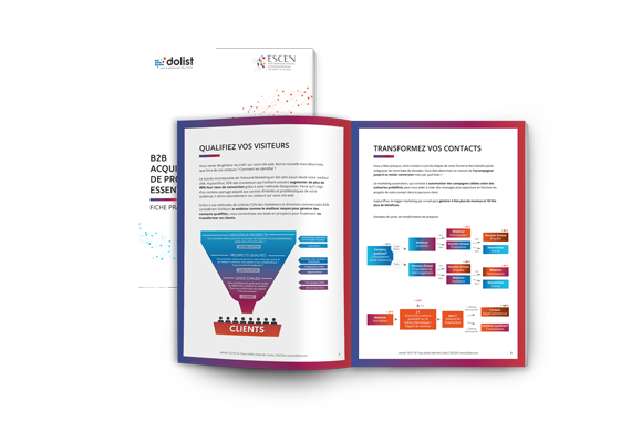 Guide : acquisition & transformation de prospects online en B2B