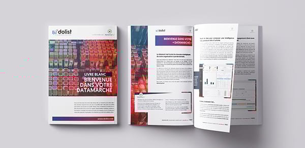Datamart : téléchargez notre livre blanc