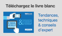 Livre blanc Dolist E-mail Mobile