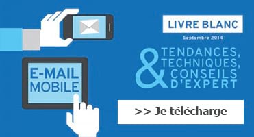 Livre Blanc Dolist E-mail Mobile