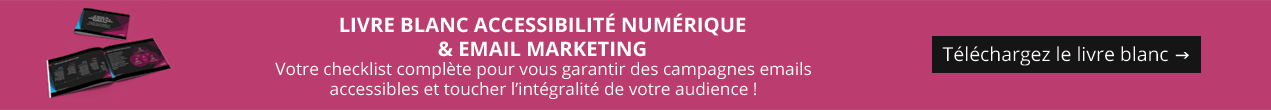 Livre blanc : accessibilité numérique & Email Marketing