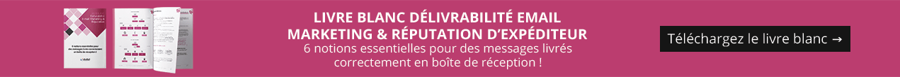 Livre blanc Délivrabilité E-mail Marketing & Réputation