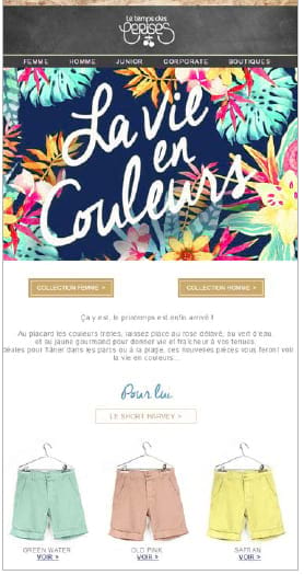 Le Printemps des Cerises E-mail